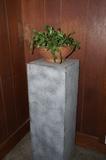 Plant stand, potted plant