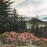 Larry Burton Limited Edition Print..... Roan Mountain framed and matted.