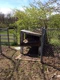 Chicken coop