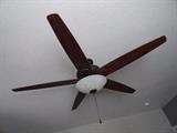 Hunter 52" ceiling fan