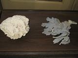 Coral