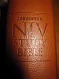 Study bible
