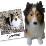 Have you heard of Cuddle Clones? They use your pictures to make a 100% custom stuffed animal of YOUR pet! You are bidding on one custom Cuddle Clone provided by Cuddle Clones. 