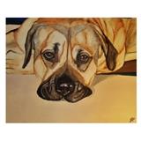 Custom pet portrait. Portraits are on textured watercolor paper, with watercolor & acrylic paints.
Picture shown is an example
Size: 8" x 10"