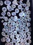 Scrimshaw Jewelry Pieces