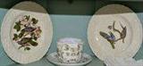 Birds of America Series plates, set of 8 with different scenes by Meakins