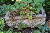 Stone trough planter from the courtyard