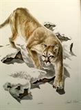Charles Rowe A/P Cougar hand signed 