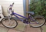 Purple Mountain Bike / Bicycle