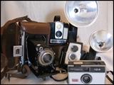 Cameras including a bellows Monitor.