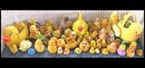A Kazillion yellow rubber duckies