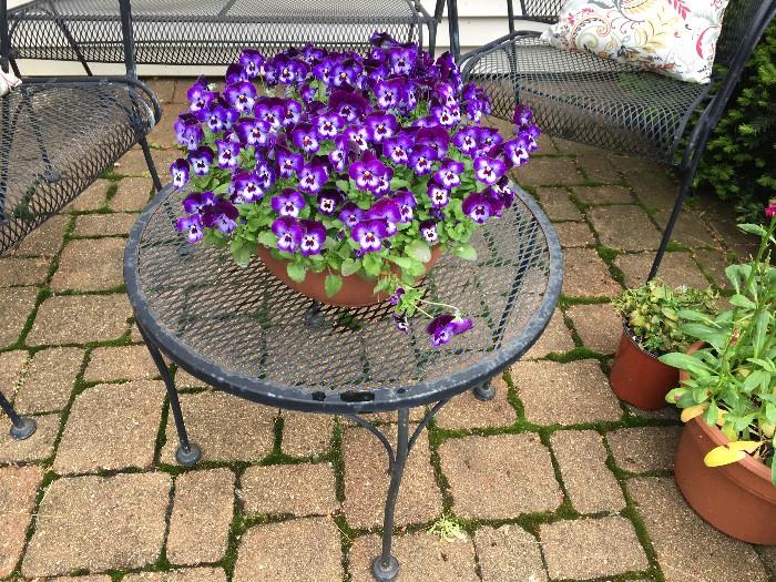 Outdoor Metal Patio Set / Potted Flowers