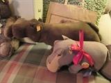 Steiff hippos