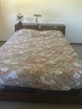 Queen Bed and Headboard (fan not for sale)