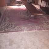 Large Area Rug