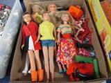 Fashion dolls and accessories