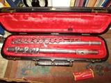 Flute in case
