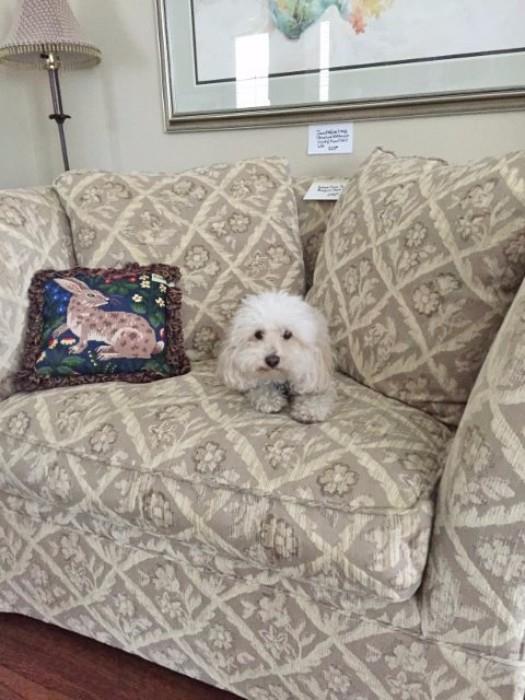 Come See Suzie in Addison!