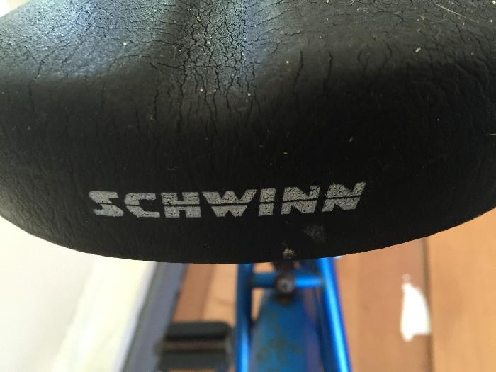 Schwinn girl's bike