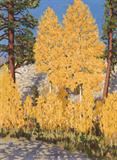 Lot# 105 Richard T. Taggart (1904-1989)		

Richard T. Taggart (1904-1989 Altadena, CA), Aspens in Fall, est:$2000/3000