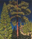 Lot# 119 Richard T. Taggart (1904-1989)		

Richard T. Taggart (1904-1989 Altadena, CA), Tree-Tops, est:$3000/4000