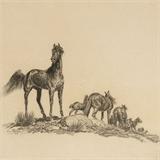 Lot# 136 Will James (1892-1942)		

Will James (1892-1942 Billings, MT), Protecting the Herd, est:$3000/5000