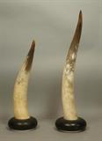 Lot 300:  2pcs Mounted Horns mounted on Black Bases. Chrome base. : Dimensions:  H: 22 inches: W: 7 inches: D: 5.5 inches --- 
