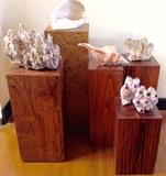 Large Crystal, Shell & Geode Specimens