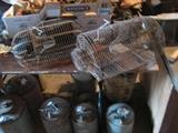 animal traps, gas cans