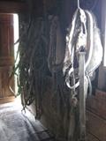 old horse harnesses