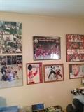 Red Wings collectibles