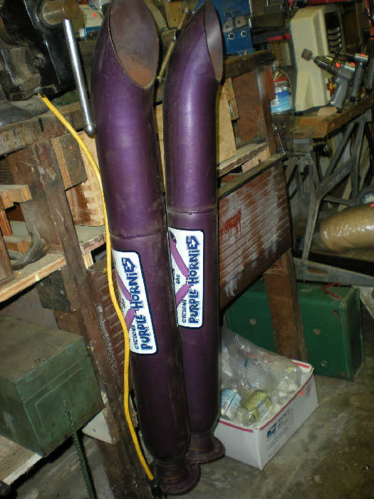 Cyclone Purple Hornies