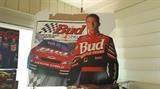 Dale Earnhardt JR, cardboard, stand up. It has been boxed, and never stood up. 2 of these are available