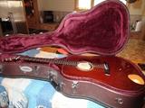 Wagner Guitar with case