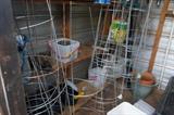 tomato cages