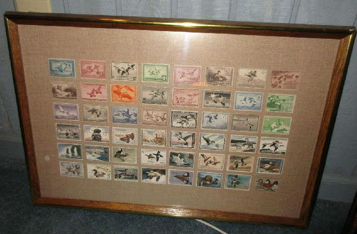 Framed Duck Stamp Picture