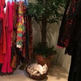 Some of the many clothes; artificial plant; more shells