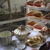 Shell collection and shell dishes
