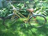 Lightweight 3 Speed Bicycle