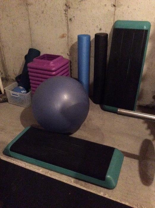 Step & Ball work out gear