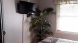 Mounted wall flat screen tv, Decorative plant