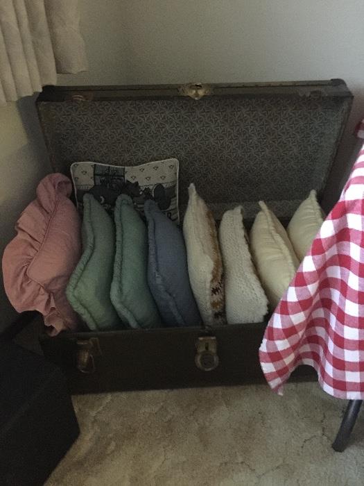 Old trunk pillows 