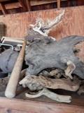 Drift Wood
