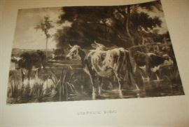 engraving cows in water