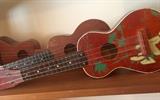 Ukeleles