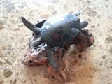 wood and stone turtle