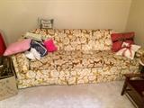 Sofa and throw pillows