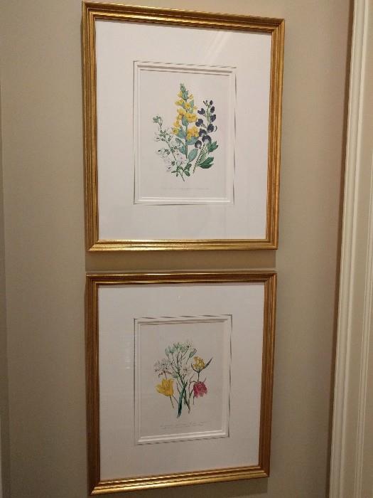 Another pari of nicely framed/matted prints, this time botanicals.