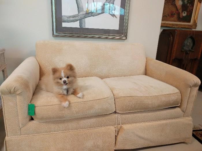 Blonde sleeper love seat, by Castro Convertibles. This lady thought of everything - even dogs to coordinate with her furniture choices.                                                  Here you see a wild Pomeranian, with chameleon-like coloring, to avoid dog nappers in high-end neighborhoods.