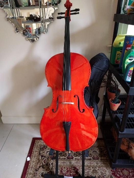 This cello works out - just look at those curves! Includes Stageline stand and padded carrying case. Matching padded jacket if you attempt to learn to play this thing.